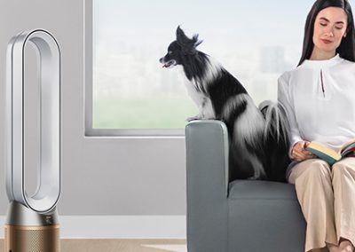 Dog sits on sofa with owner looking at Dyson